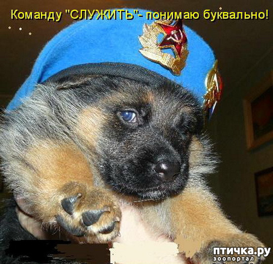 ���� 3: �� ��� ���������