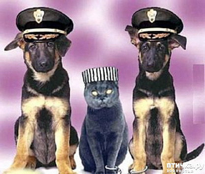 ���� 4: �� ��� ���������