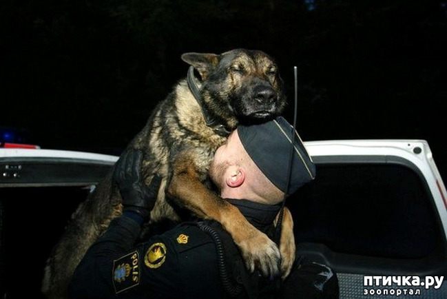 ���� 5: �� ��� ���������