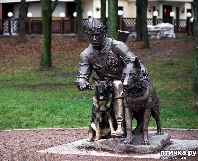 ���� 6: �� ��� ���������