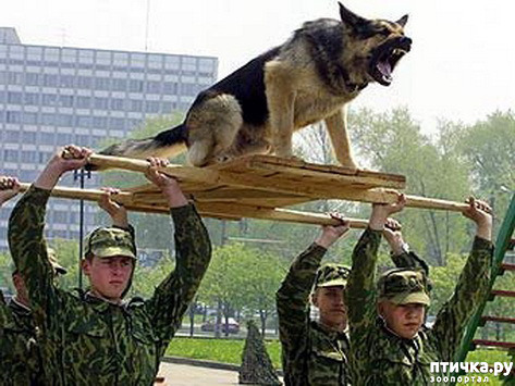 ���� 8: �� ��� ���������