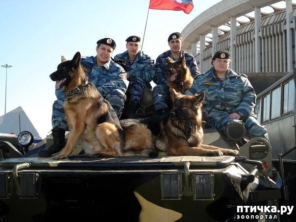 ���� 9: �� ��� ���������