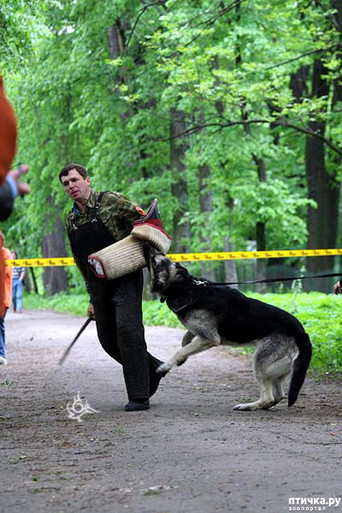 ���� 10: �� ��� ���������