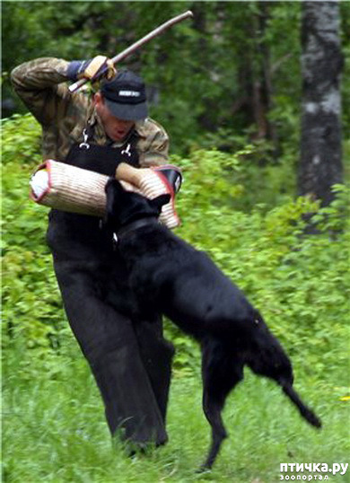 ���� 12: �� ��� ���������