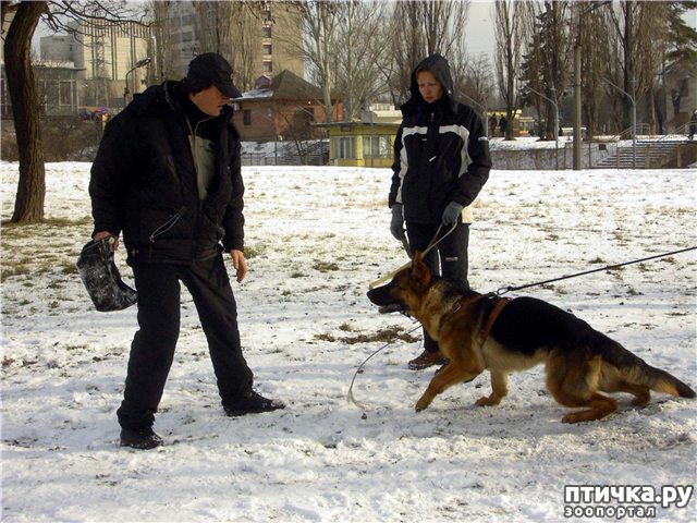 ���� 14: �� ��� ���������