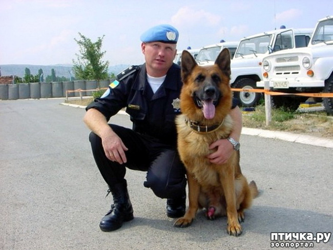 ���� 15: �� ��� ���������