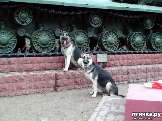 ���� 16: �� ��� ���������