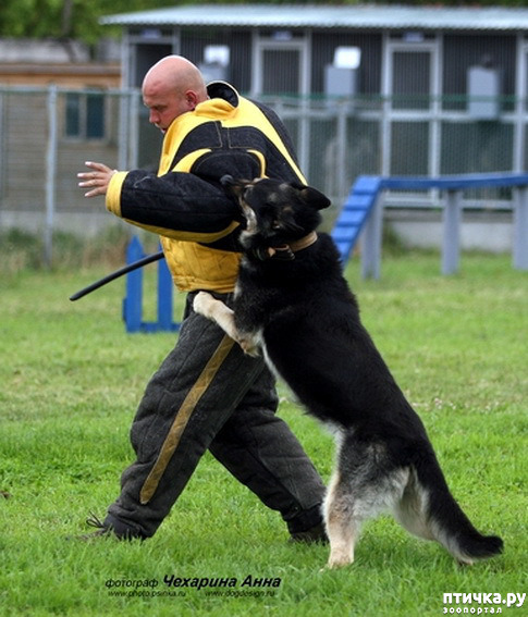 ���� 17: �� ��� ���������