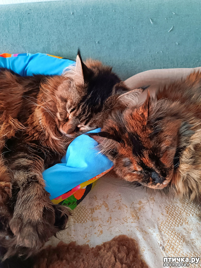 ���� 1: ���� �����