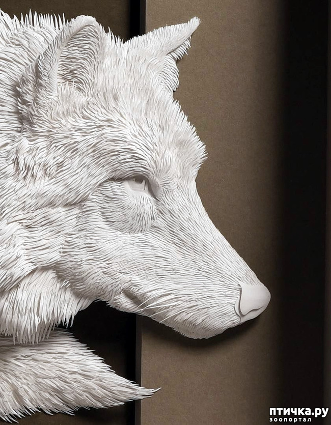 ���� 20: ����� � ���� ������� ��������