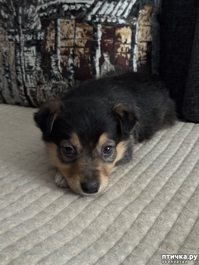 ���� 1: ���� ����