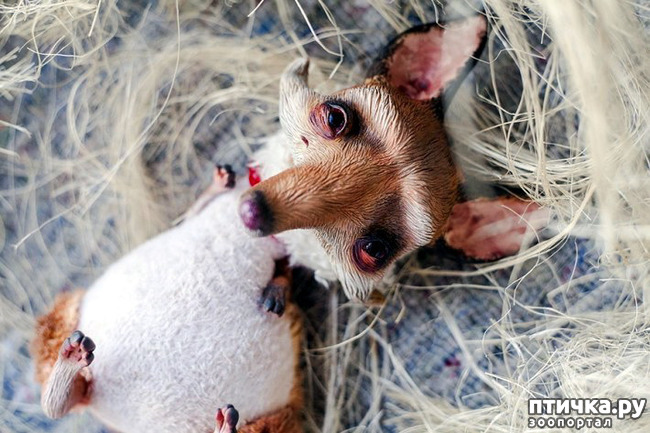 ���� 2: ����� � ���� ������� ��������