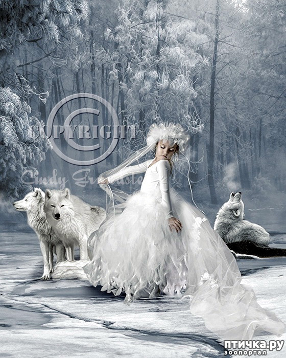 ���� 3: ����� � ���� ������� ��������