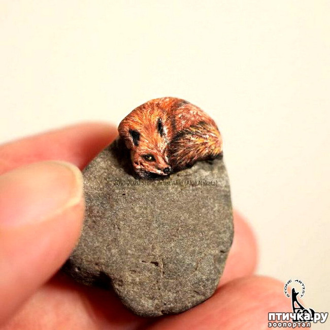 ���� 6: ����� � ���� ������� ��������