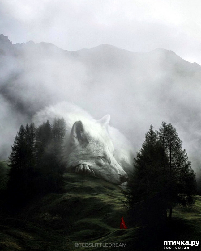 ���� 7: ����� � ���� ������� ��������