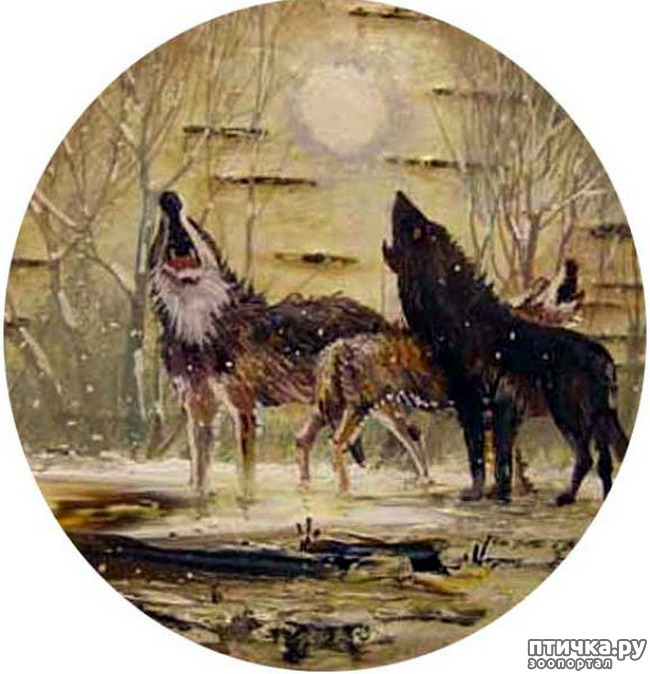 ���� 11: ����� � ���� ������� ��������