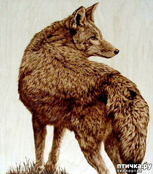 ���� 12: ����� � ���� ������� ��������