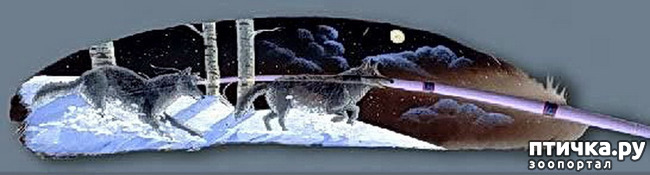 ���� 13: ����� � ���� ������� ��������