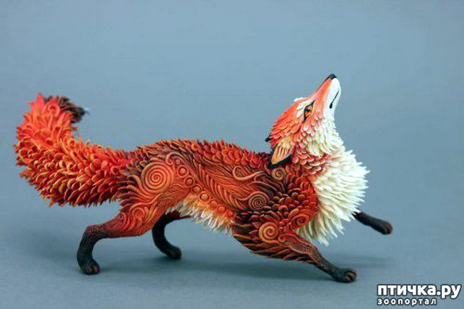 ���� 14: ����� � ���� ������� ��������