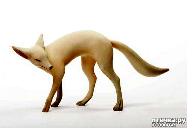 ���� 15: ����� � ���� ������� ��������