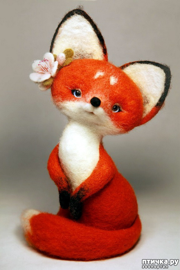 ���� 19: ����� � ���� ������� ��������