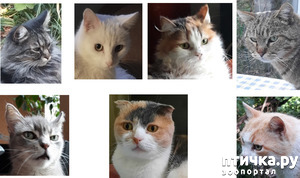 ����: � ����� �����!