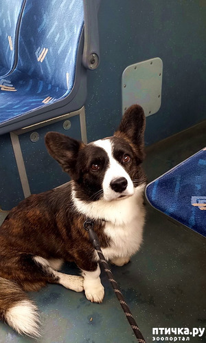 ����: ������ ��� �������