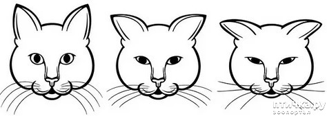 ���� 1: ������ ������ ���� � ����� �� ���������� ������ Feline Grimace Scale - FGS