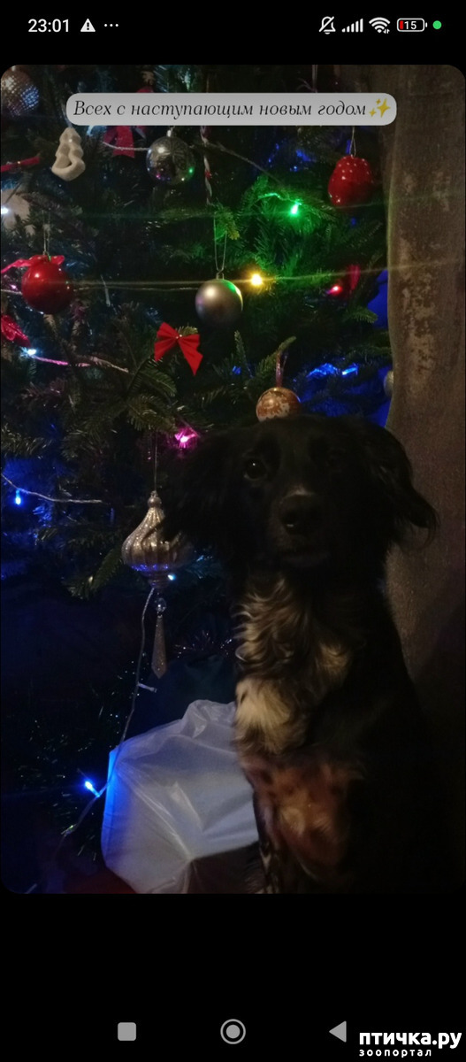 ���� 1: ���������