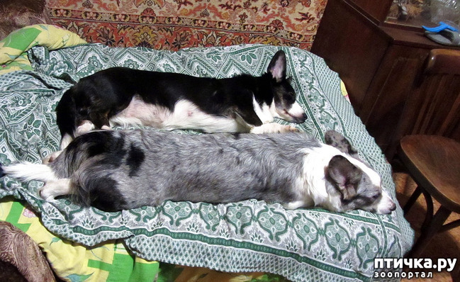 ���� 1: ��������� ����� ���