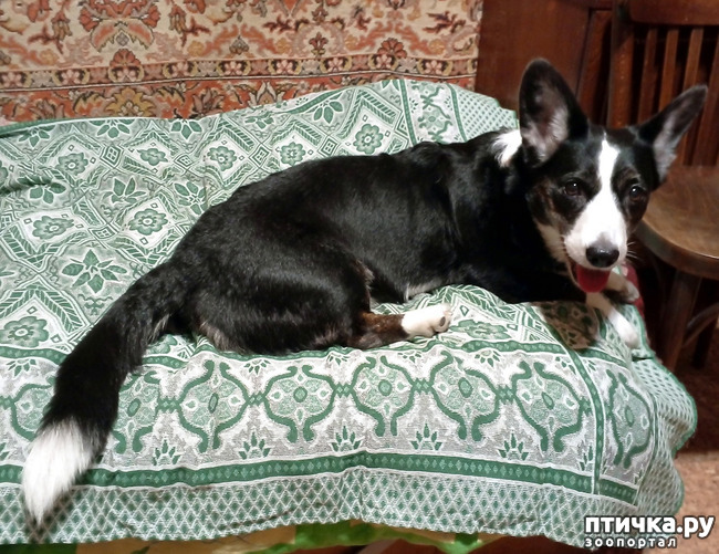 ���� 2: ��������� ����� ���