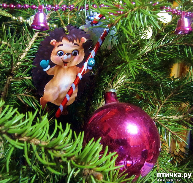 ���� 4: ��������� ����� ���