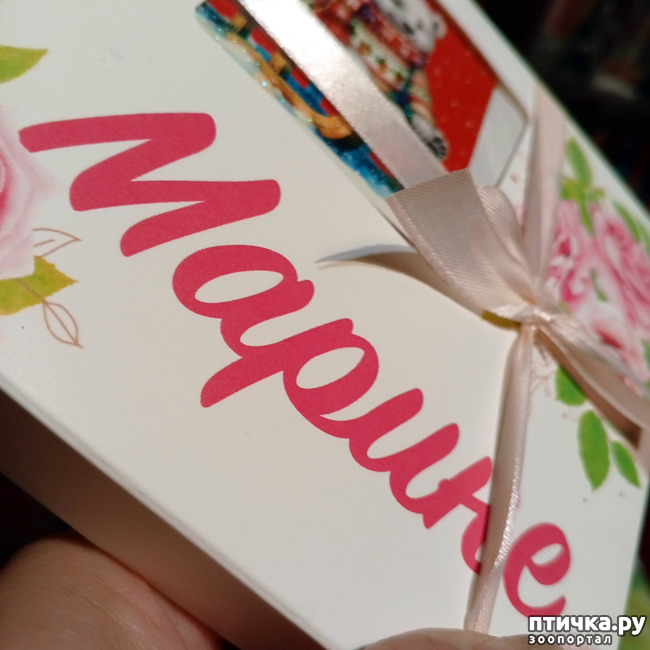 ���� 5: ��������� ����� ���