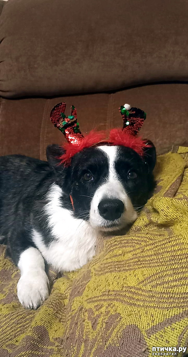 ���� 2: ���������� �������