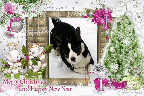 ���� 3: ���������� �������