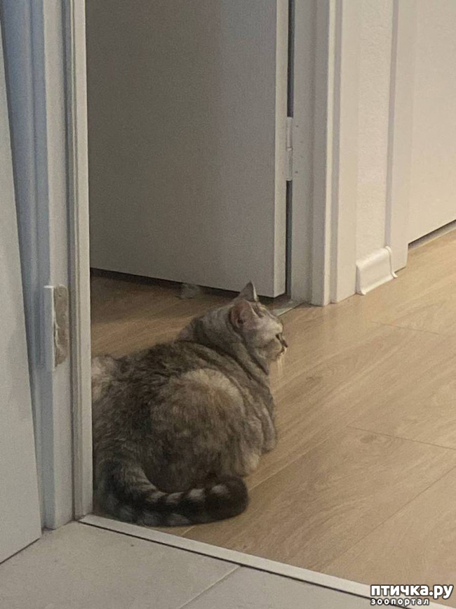 ���� 4: ������� ����� �������!