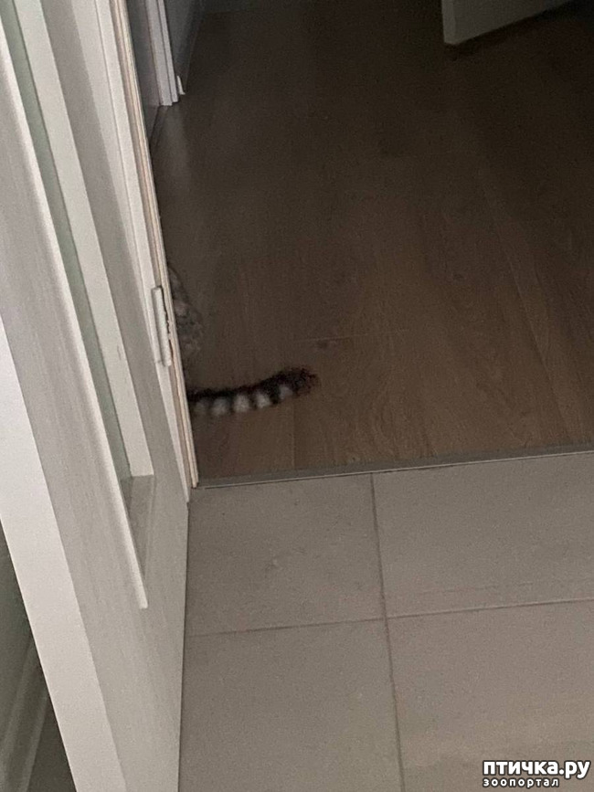 ���� 5: ������� ����� �������!