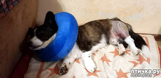 ���� 1: ��������