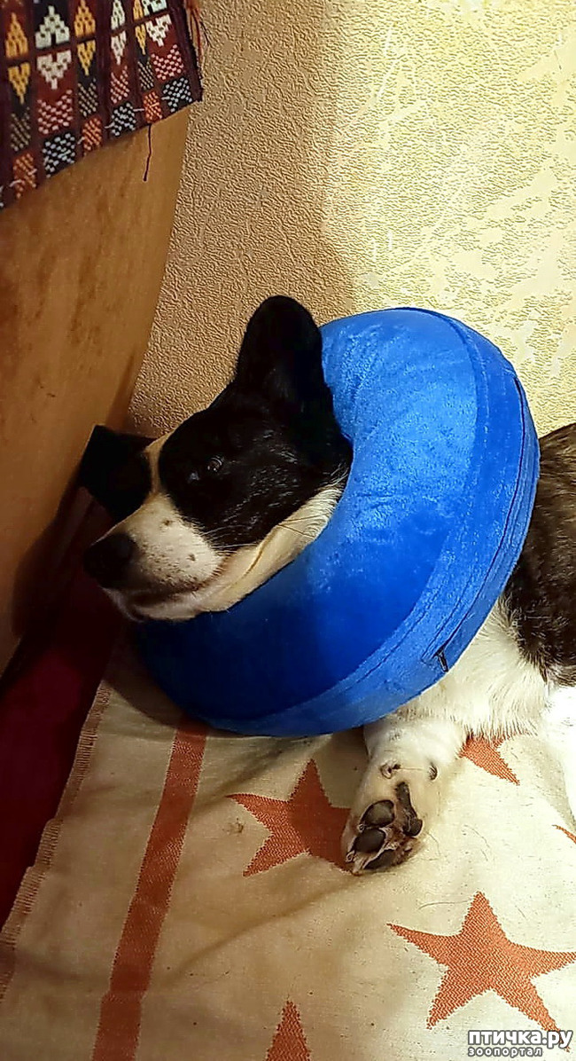 ���� 2: ��������