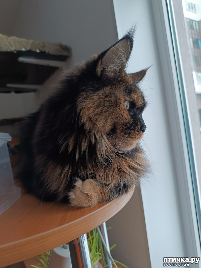 ���� 4: � ���� �������!