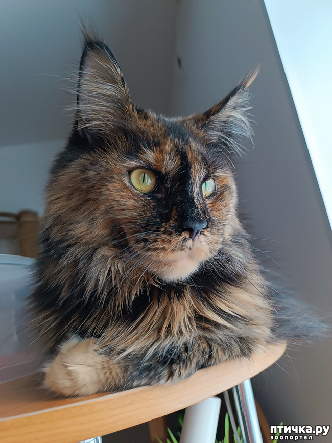 ���� 2: � ���� �������!