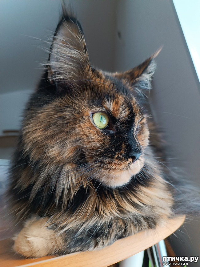 ���� 1: � ���� �������!