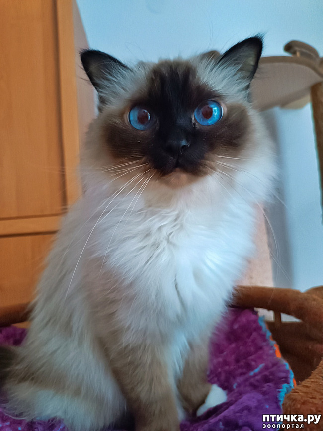 ���� 3: � ���� �������!