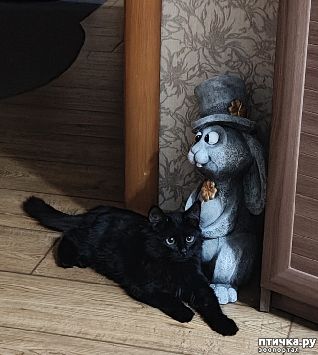 ���� 1: ��� ���������� �������