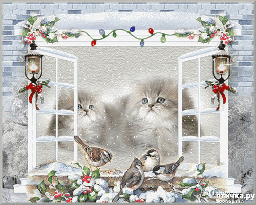 ���� 1: ������� �����