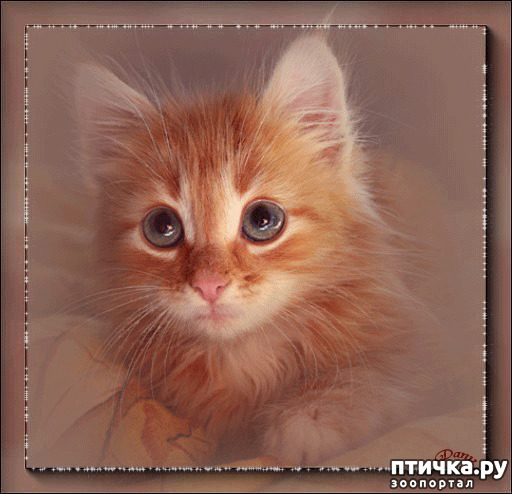 ���� 4: ������� �����