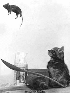 ���� 5: ������� �����