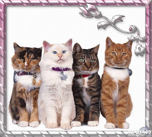 ���� 6: ������� �����