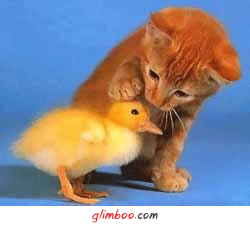 ���� 10: ������� �����