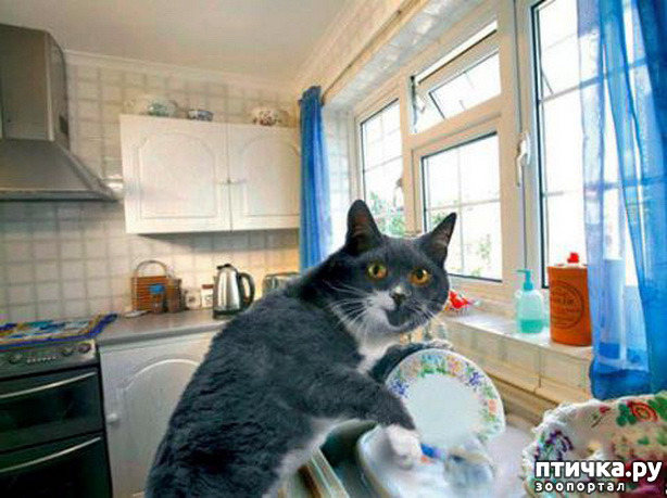 ���� 16: ������� �����